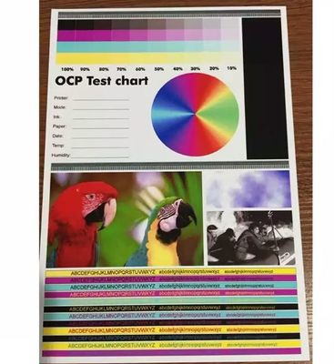 Tấm Pvc A4 có thể in hai mặt với phục hồi màu độ cao