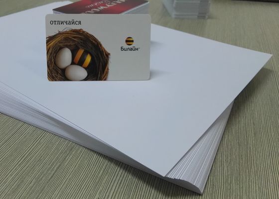 Tấm PVC một mặt dày 0,3mm HP Indigo In kỹ thuật số Tấm PVC