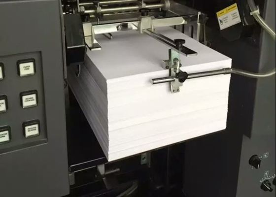 Tấm lõi PVC in offset 0,30mm không thấm nước